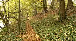 Der Ringwall am Wassergraben