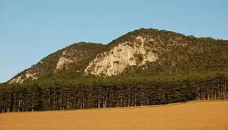 Schlossberg (584&nbsp;m) von Westen