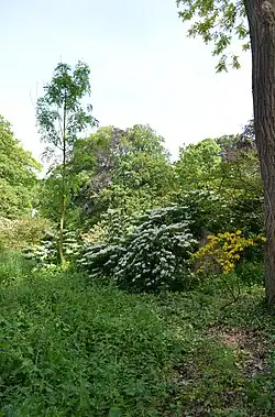 Partie im Landschaftsgarten