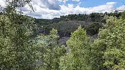 Blick auf den Schieferbruch Örtelsbruch mit abgestuften Felswänden und umgebendem Wald unter bewölktem Himmel