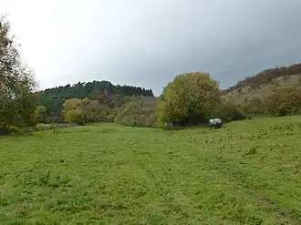 Die Schmiedeköpfe bei Eichenberg aus südlicher Richtung