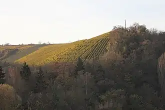 Blick von der über den Neckar führenden Aubrücke (L&nbsp;1100) westwärts zum Schnarrenberg