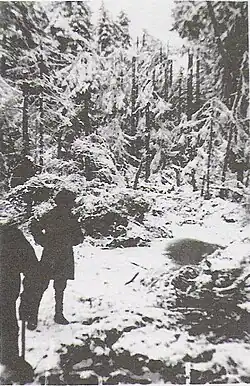 Schneebruch nach einem Schneesturm im Steinwald, 1927/1928