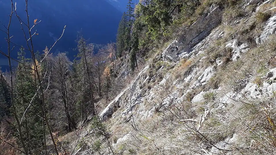 Anstieg über die Südseite zur Schlösselschneid. Im Vordergrund steil zum Lödenboden abfallender Oberer Wettersteinkalk.