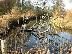 Schnelle Havel bei Bischofswerder