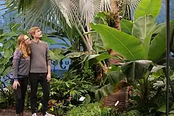 Begehbares Tropenhaus im Schokoladenmuseum Köln