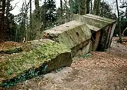 Heidgrabener Str. (Langes Tannen), die Reste des Schornsteins der Dampfmühle von 1842