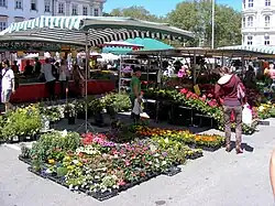 Blumenstand auf der Schranne