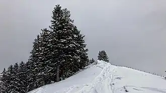 Schreckenkopf, Gipfelbereich