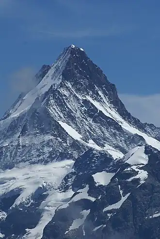 Schreckhorn, Berner Alpen. Blick vom Faulhorn