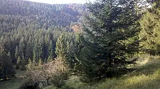 Blick vom Gipfel des Schußkogel Richtung Süd-West