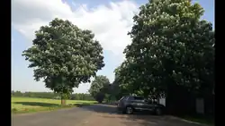 Schuldamm, früher einzige Verbindung zwischen Ahrensmoor-West und -Ost