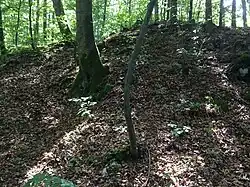 Schuttkegel der Kernburg (Juli&nbsp;2015)