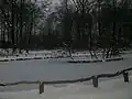 Der Schwanenteich im Winter, Dezember 2009