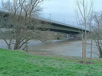 Schwanheimer Brücke