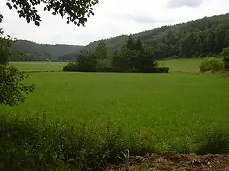 Schwarzbachaue bei Waldfischbach-Burgalben