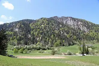 Schwarzenberg von Mühlau