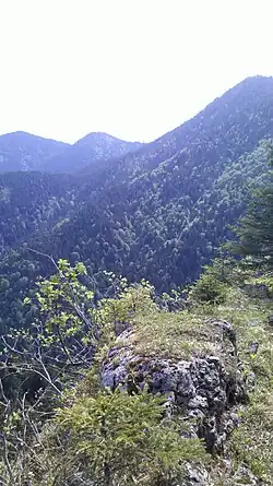 Gipfelbereich der Schwarzwand