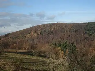 Der Gipfel des Schanzenkopfs vom Nachbarberg über den Teufelsgrund, von Südosten gesehen