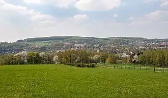 Schweichler Berg (Ostseite)