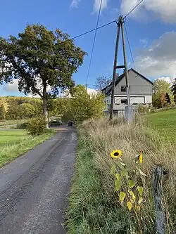 Schwelmer–siepen 1