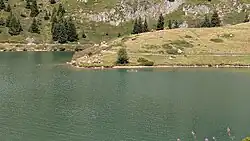 Schwimmen im Bettmersee