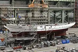 Greif nach der Neukonservierung der Außenhaut im Oktober 2024