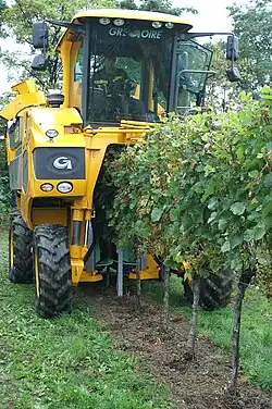 Selbstfahrender Traubenvollernter im Einsatz