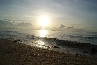 Küstenstreifen der Selingan Insel