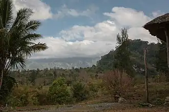 Landschaft beim Ort Ossu