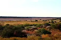 Serpentine Lakes (2011)