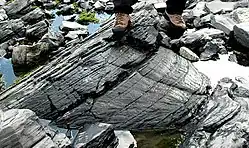 Ein etwa 2&nbsp;m langer shatter cone in ordovizischen Kalksteinen des Impaktkraters von Charlevoix in Québec, Kanada