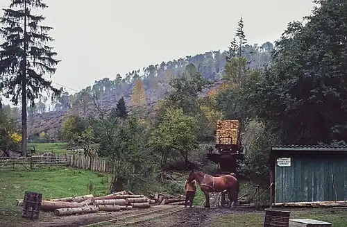 Talstation des Schrägaufzuges mit Rangierpferd (September 1996)