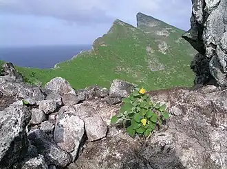 Tanager Peak im Hintergrund