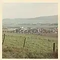 Blick vom Hang des Riepen auf die Siedlung an der Freiheit
