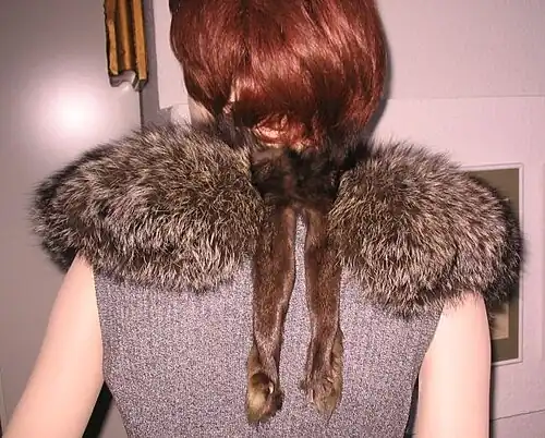 Rückenansicht des links abgebildeten Kragens