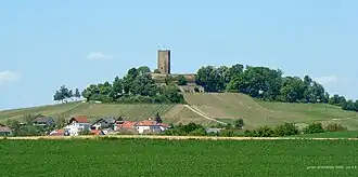 Burg Steinsberg mit Weiler von Süden. Das Burggelände nimmt einen guten Teil der kleinen Hochfläche ein.