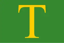 Flagge des Ortes Sint Anthonis