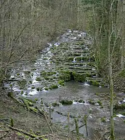Lillach bei Weißenohe, Bayern – im Fließgewässer