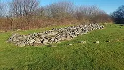 Langdysse von Skelde