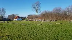 Langdysse von Skelde