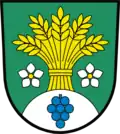 Wappen von Skršín