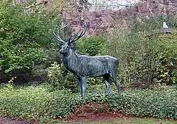 "Rothirsch" (1913) im Zoologischen Garten Berlin