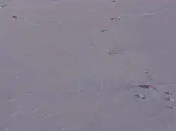 Hütte der Station mit Nebeneinrichtungen, Aufnahme im Anflug auf die Landebahn (Sky Blu Skiway), die etwa 1,5&nbsp;km von der Hütte entfernt liegt, im Bild oben links.