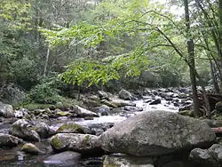 Nationalpark Great Smoky Mountains