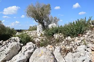 Pfeiler eines Rundhauses