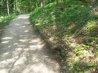 Teil der hölzernen Soleleitung oberhalb des Thumsees