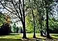 Parkansicht