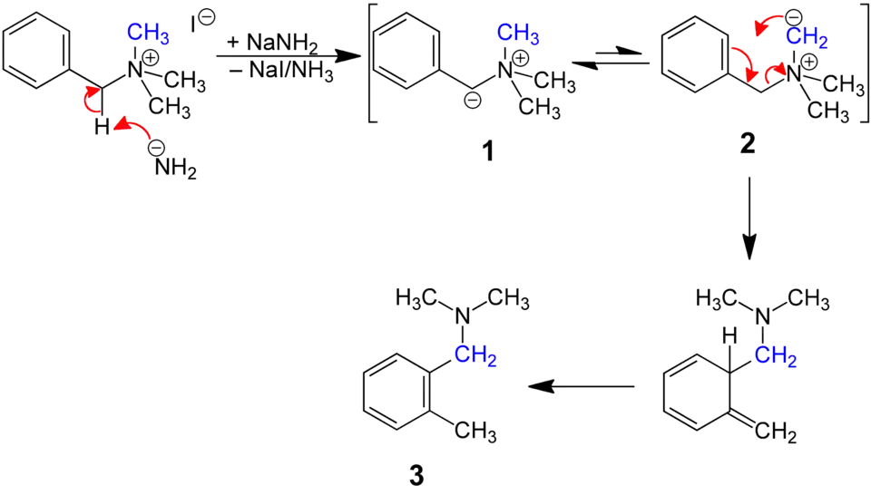 Reaktionsmechanismus der Sommelet-Hauser-Umlagerung