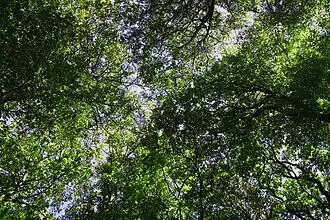 Ende August (Sommer)